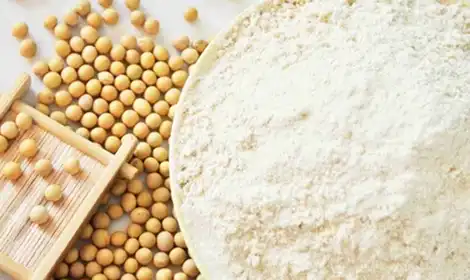 Fight Skin Aging with the Power of Soybean Peptides